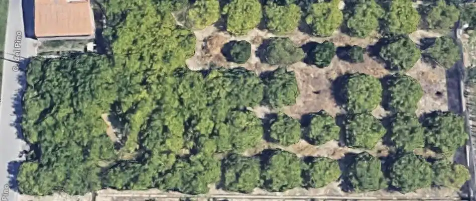 Terreni e lotti in vendita a Pedanías Este, imagen 2