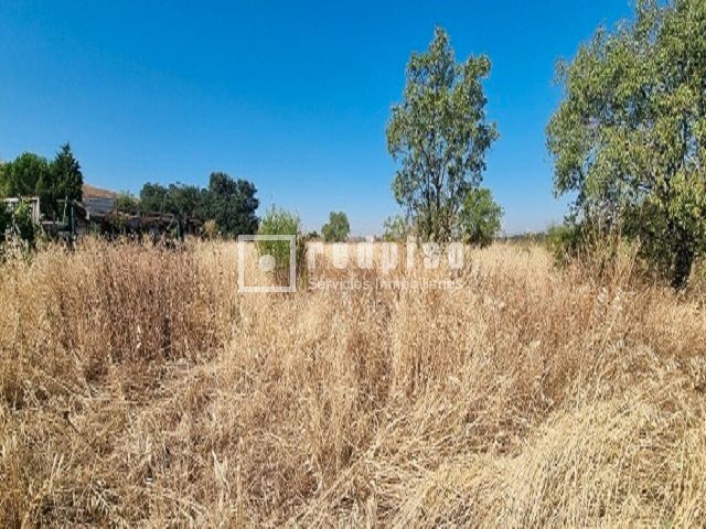 Terreny industrial en venda en San Fernando de Henares