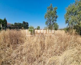 Industrial land for sale in San Fernando de Henares