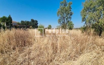 Terreny industrial en venda en San Fernando de Henares