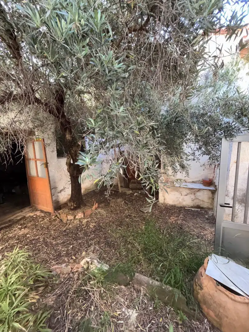Jardín de Casa o chalet en venta en Moral de Calatrava