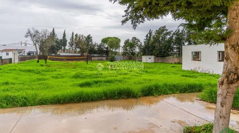 Foto 5 de Finca rústica en venta en Los Franceses – La Vega, Chiclana de la Frontera
