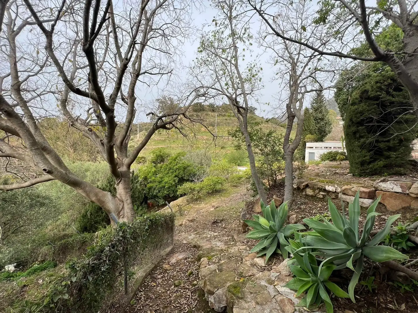 Finca rústica en venda en Mijas amb Piscina