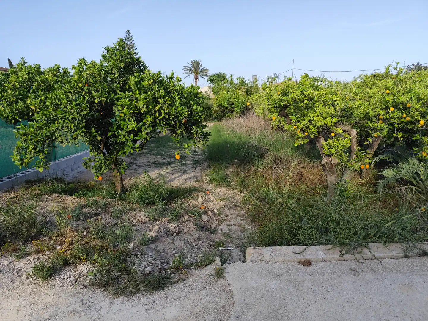Terreny en venda a Camino Viejo de Orihuela, 7, Torreagüera