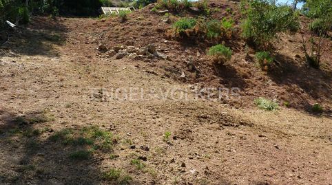Destacado terreno con precio negociable donde construir la vivienda de sus sueños, immagine 5