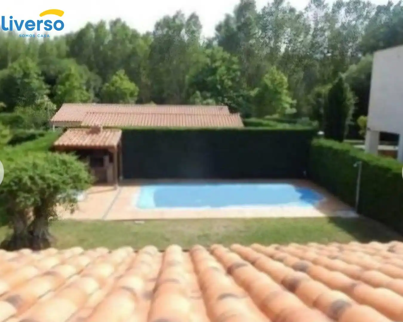 Piscina de Casa o chalet en venta en Castrillo del Val con Calefacción, Parquet y Terraza