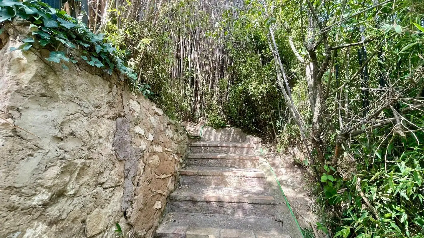 Haus mit Garten zum Verkauf in La Parra, imagen 21