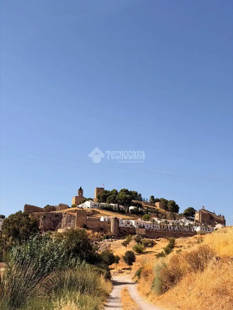 Vista exterior de Finca rústica en venda en Antequera