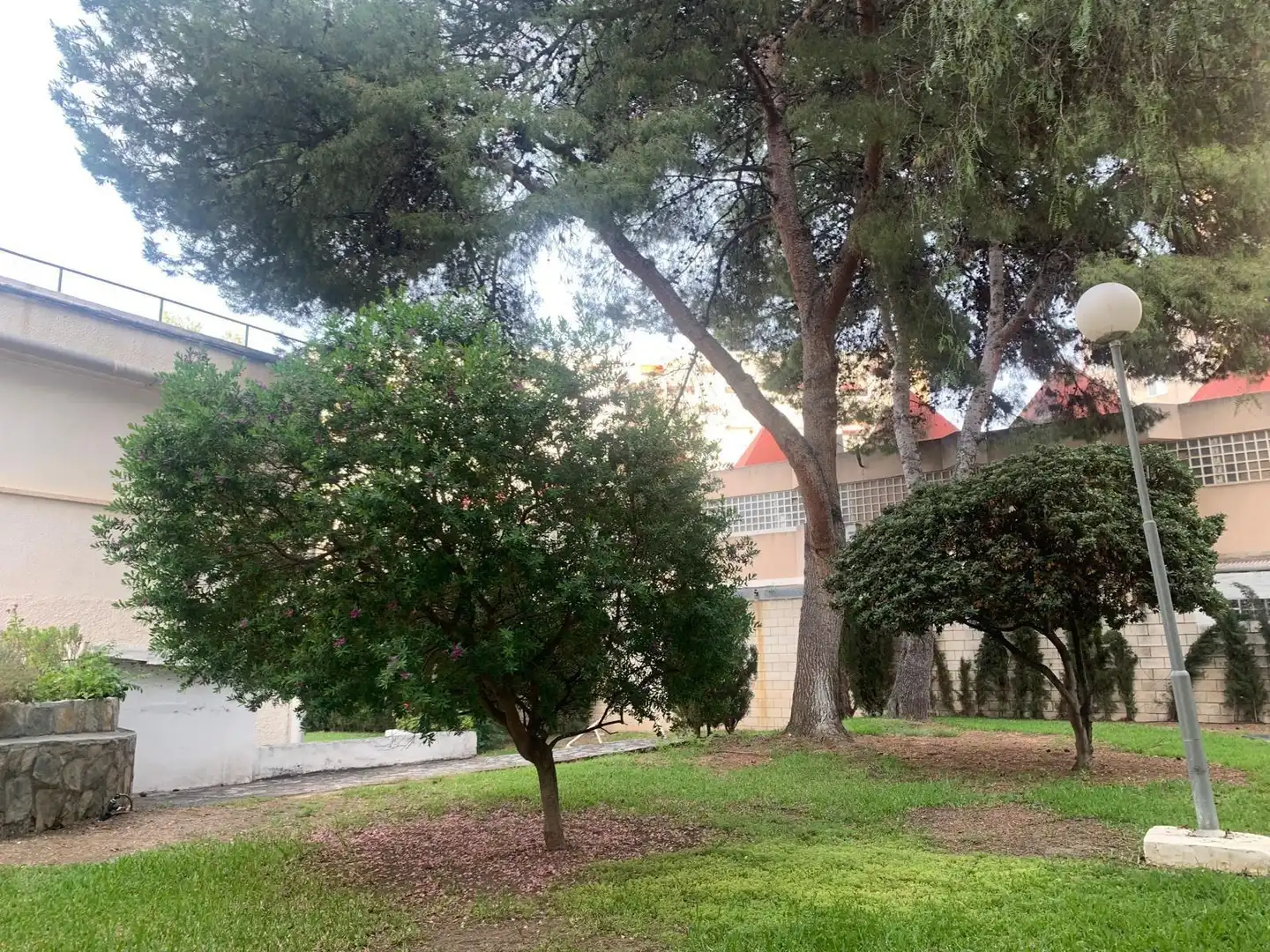 Garten von Wohnung zum Verkauf in Alicante / Alacant mit Klimaanlage, Heizung und Privatgarten