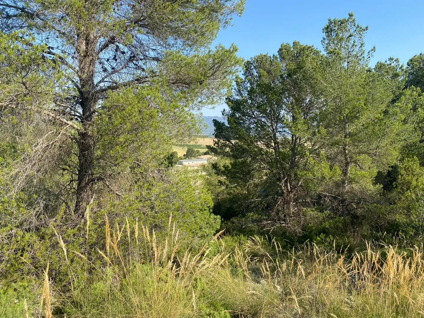 Villa à vendre à Moratalla, imagen 92