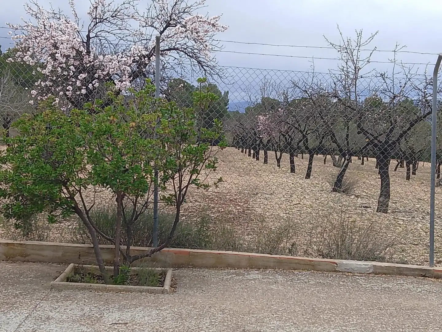 Casa o xalet en venda en Tibi amb Jardí privat, Terrassa i Moblat