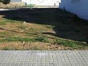 Terreni e lotti in vendita a Archena