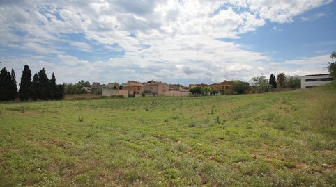 With an area of more than 5,000 square meters, t..., immagine 4