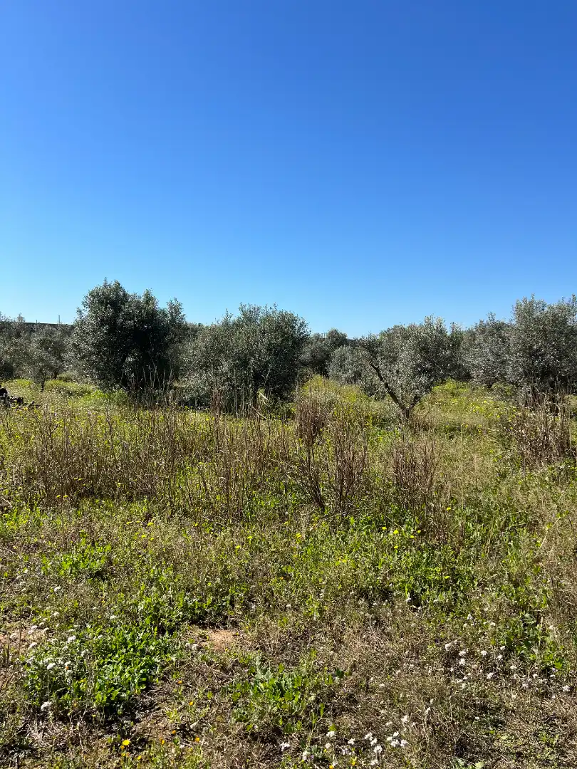 Terreno rustico in vendita a Vinyols i els Arcs, imagen 23