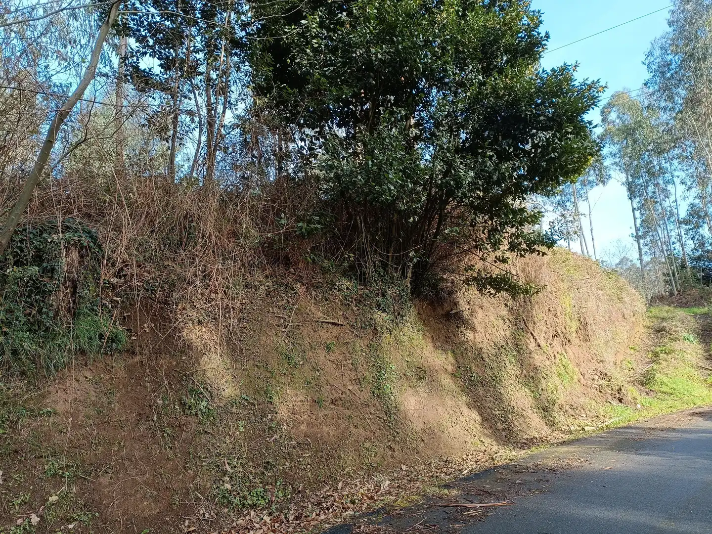Terrain rustique à vendre à Oza dos Ríos, imagen 2