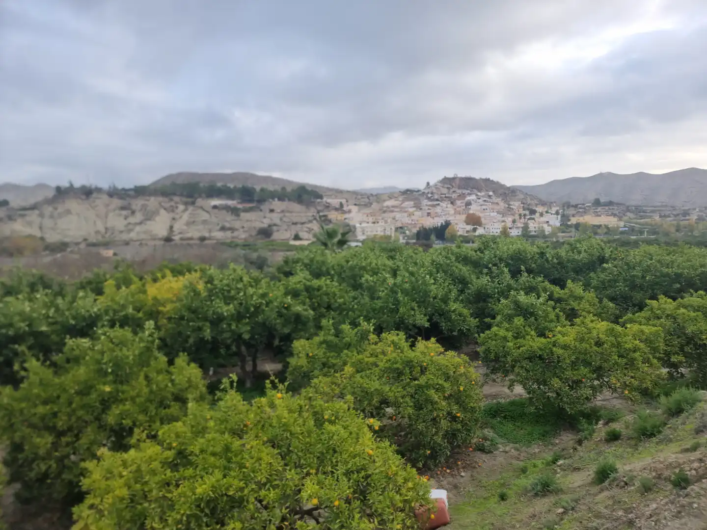 Rural land for sale in Calle Camino Ancho 4, imagen 2