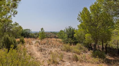 Photo 4 of House or chalet for sale in Poligono 36 Partida del Barranquillo 586, Pedralba, Valencia