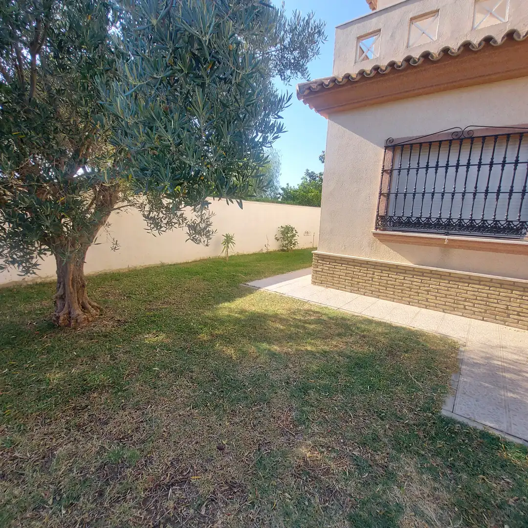 Jardí de Casa o xalet de lloguer en Chiclana de la Frontera amb Piscina, Moblat i Es permeten mascotes