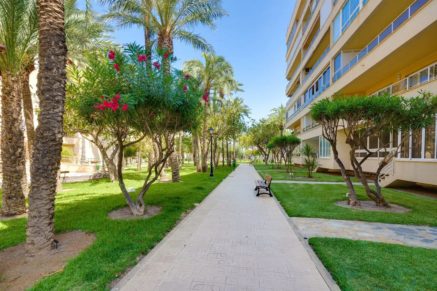 Vista exterior de Pis en venda en Torrevieja amb Aire condicionat, Terrassa i Moblat