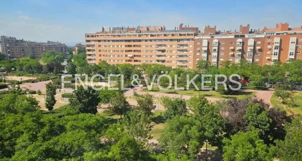 Pis amb terrassa de lloguer a Paseo de Ginebra, imagen 20