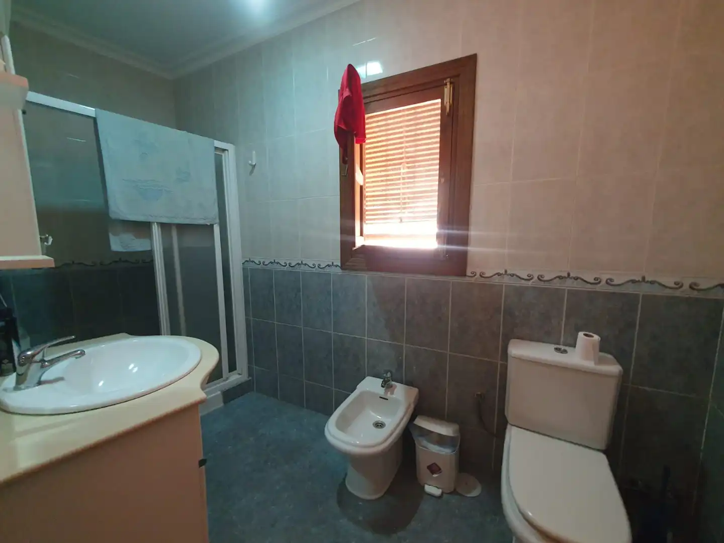 Bany de Casa o xalet en venda en Guadix amb Terrassa i Moblat