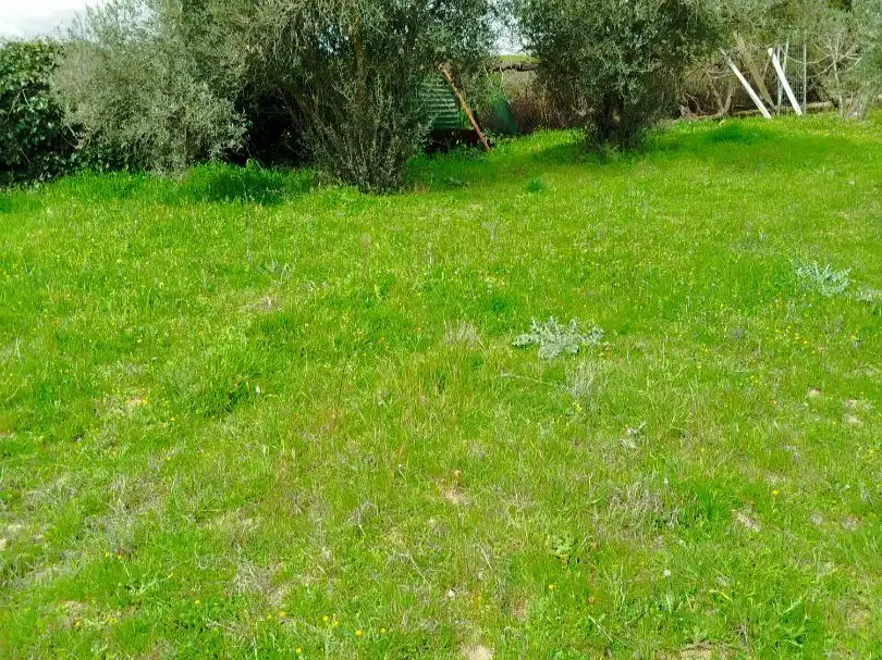 Residencial en venda en Palomeque
