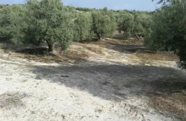 Terreni e lotti in vendita a Valdeastillas - Fuentezuelas, imagen 2