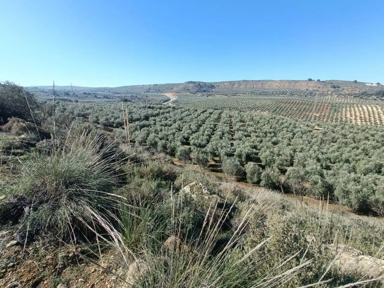 Terreni e lotti in vendita a Moraleda de Zafayona, imagen 17