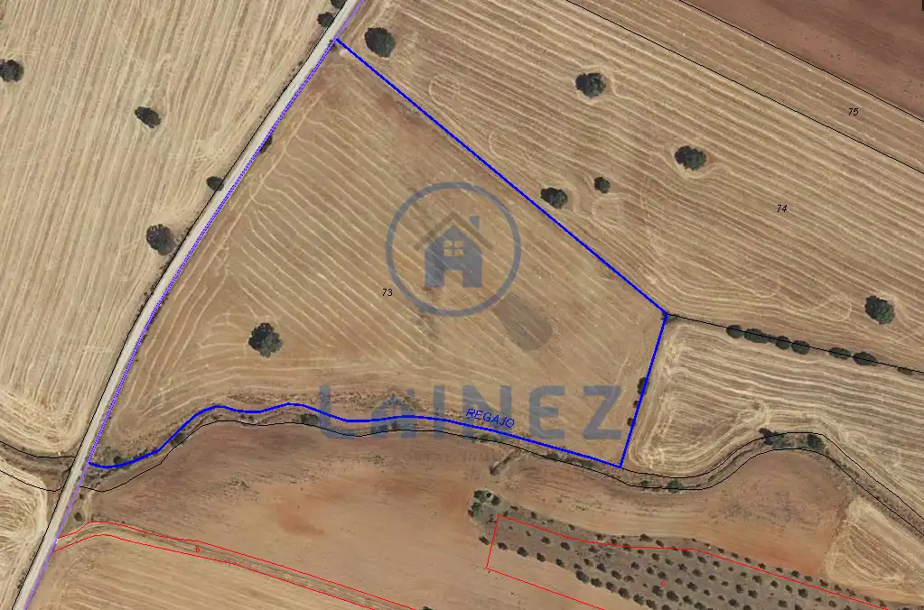 Terreny residencial en venda a Fuente Obejuna