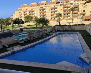 Swimming pool of Flat to rent in Roquetas de Mar  with Air Conditioner, Terrace and Swimming Pool