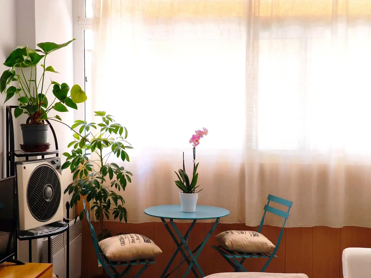 Apartment with terrace for sale in Centre, imagen 2