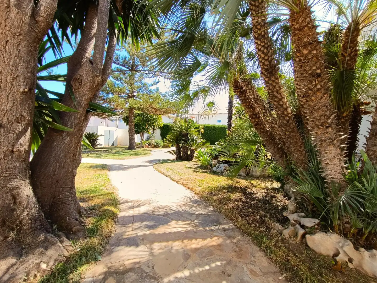 Jardín de Casa o chalet en venta en Vinaròs con Jardín privado, Terraza y Piscina