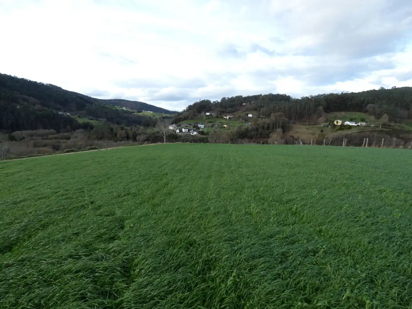 Grundstücke und Bauplätze zum Verkauf in Valdés - Luarca