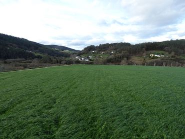 Terreni e lotti in vendita a Valdés - Luarca
