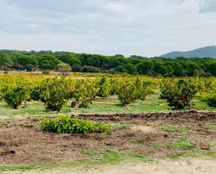 Residencial en venda a San Martín de Valdeiglesias