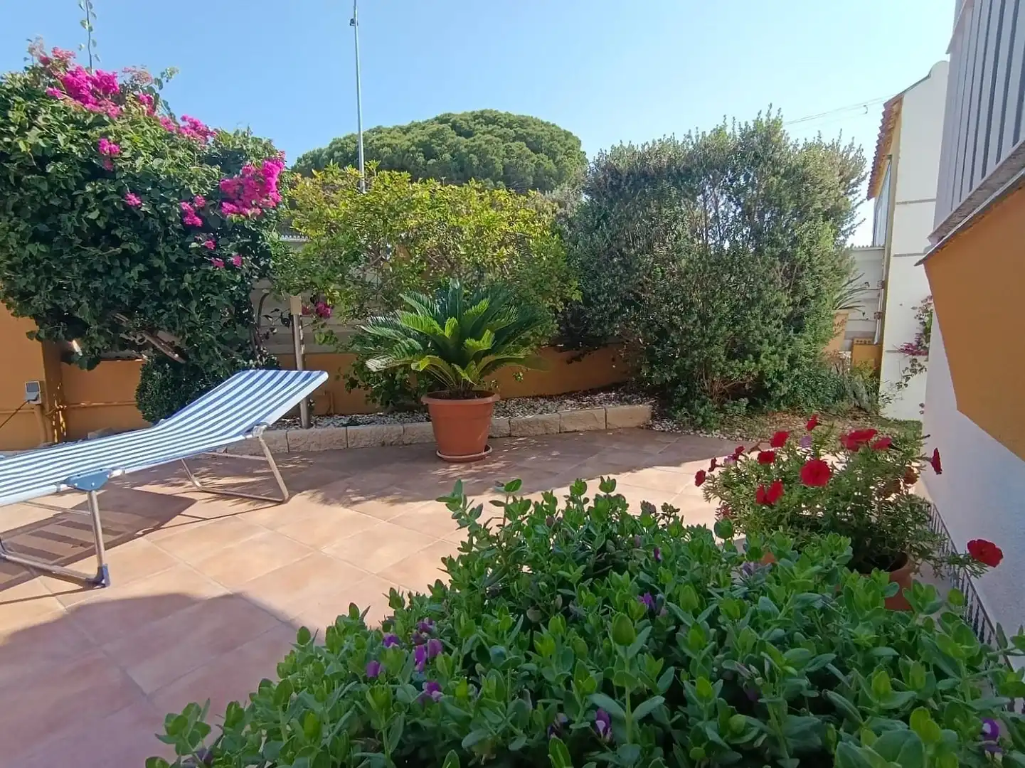 Garden of Houses for sale in Chiclana de la Frontera  with Air Conditioner, Heating and Private garden