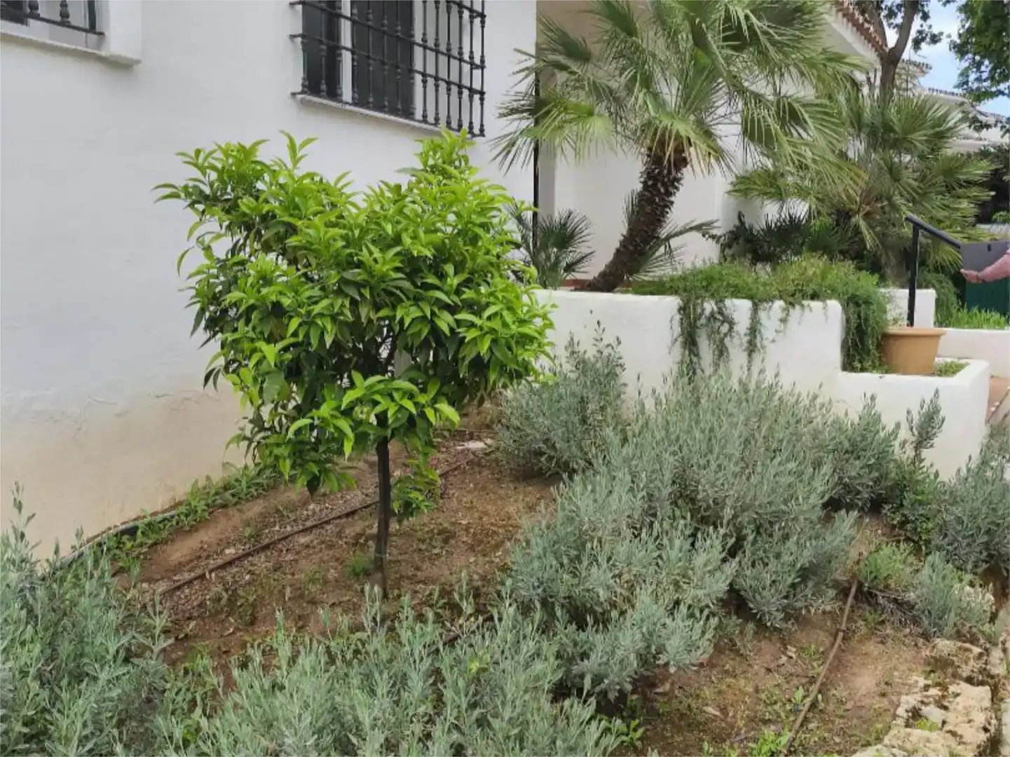 Jardín de Piso en venta en Marbella con Aire acondicionado y Piscina