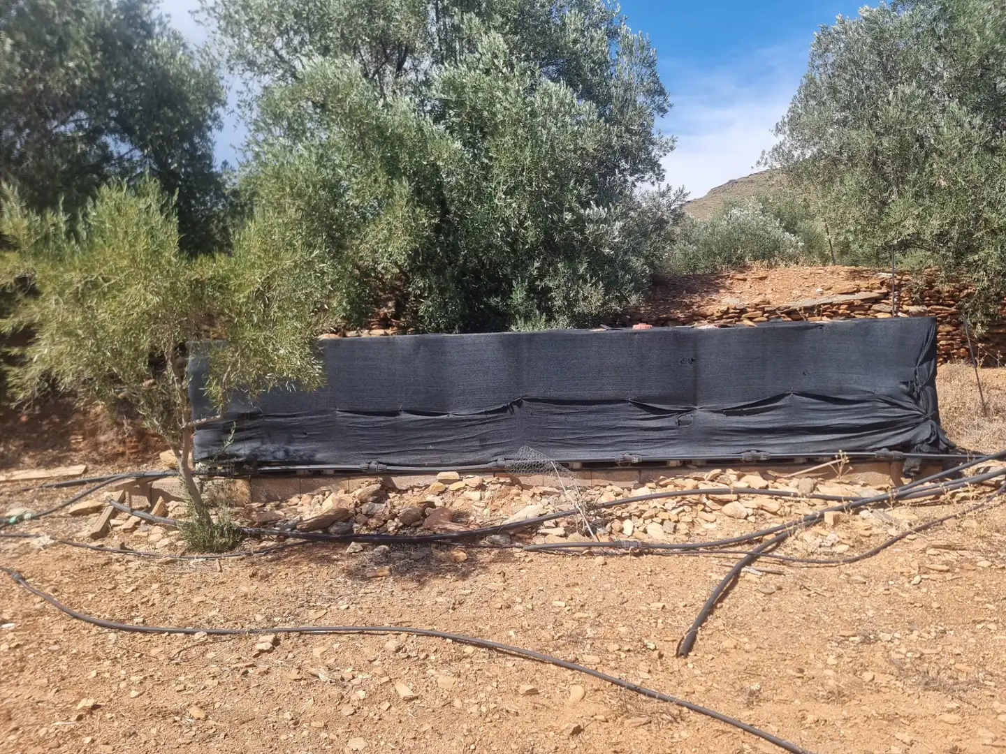 Jardín de Terreno en venta en Senés