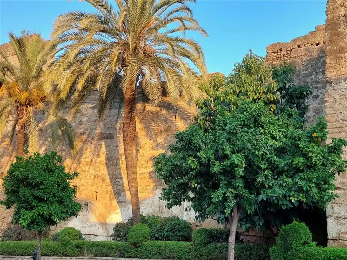 Vista exterior de Terreno en venta en Marbella