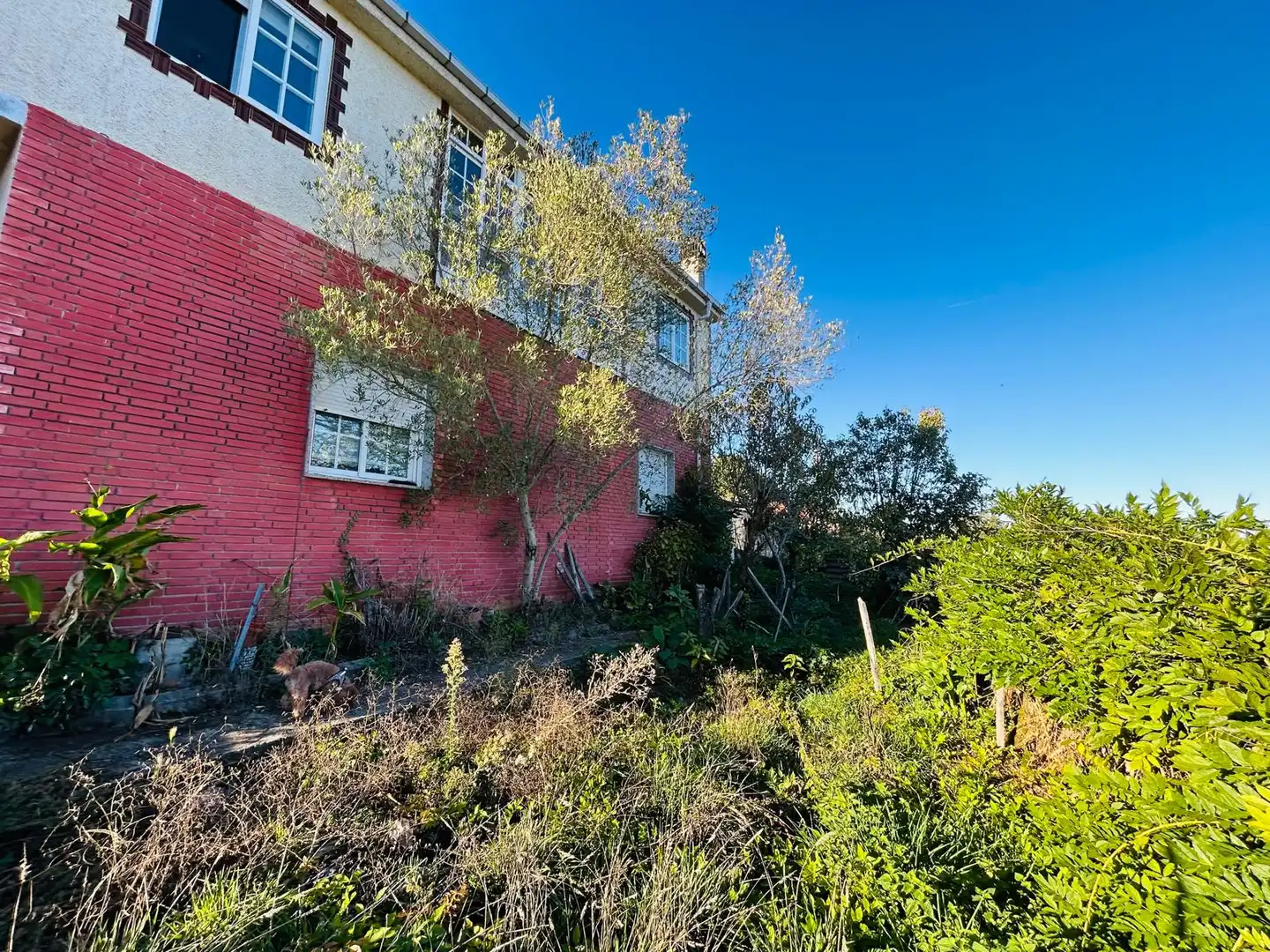 Exterior view of Houses for sale in Maside  with Heating, Private garden and Terrace