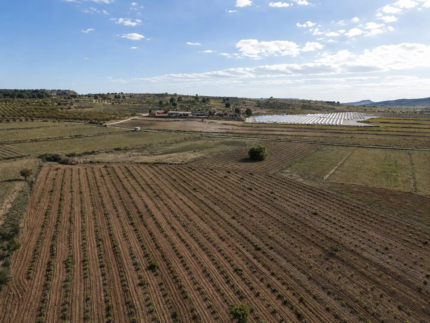 Terreno residencial en venta en El Pinós / Pinoso, imagen 2