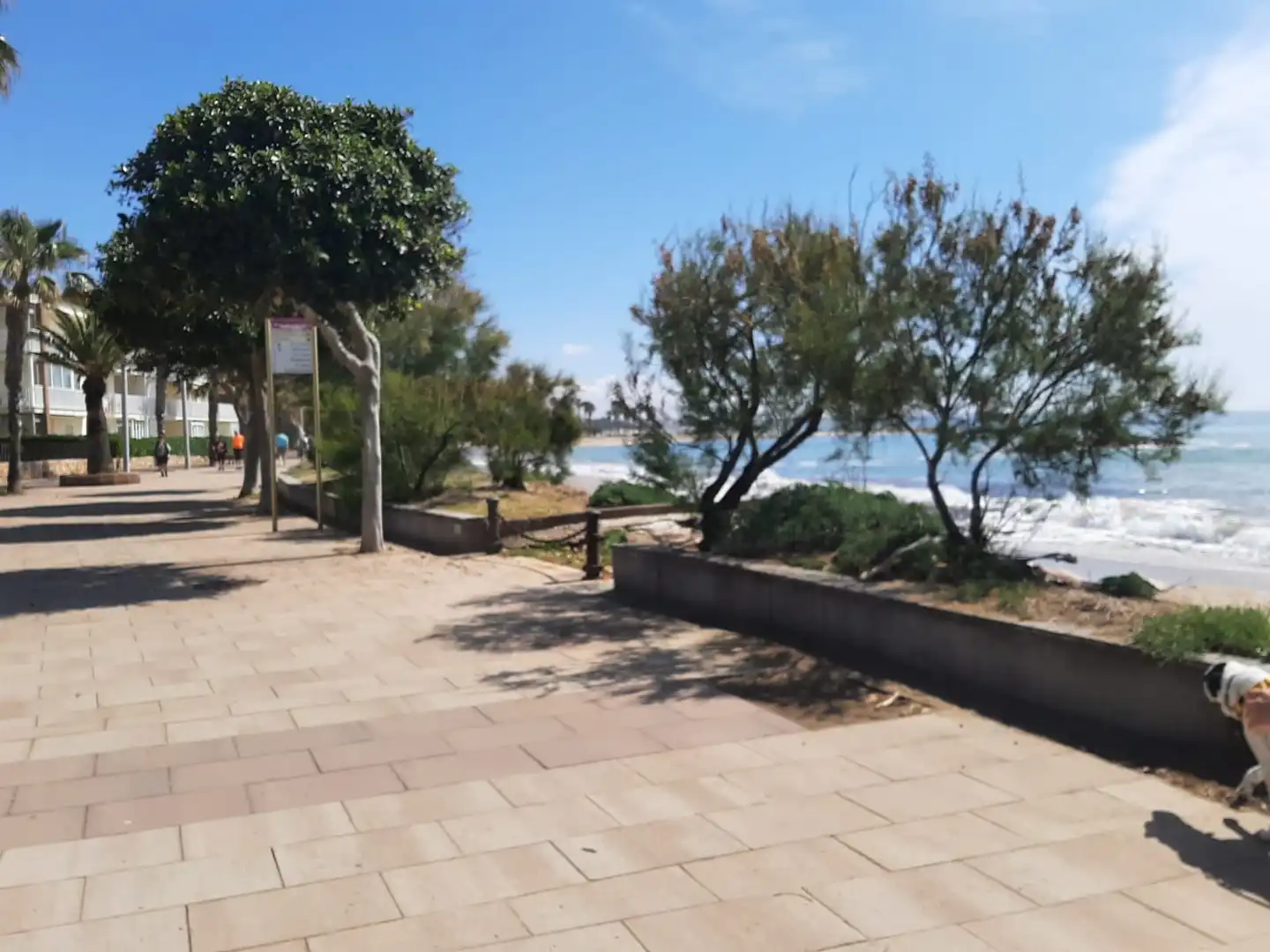Apartament de lloguer a Carrer Rosa dels Vents, Cambrils Mediterrani