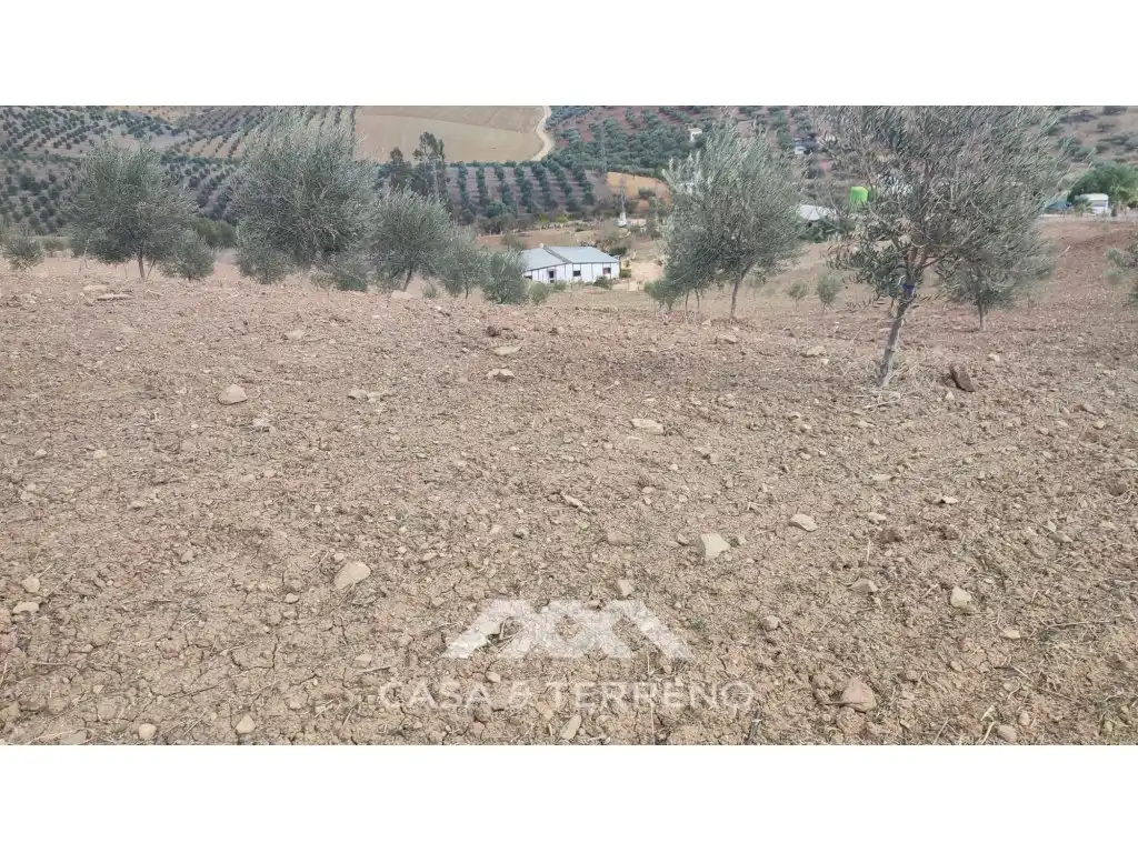Terreni e lotti in vendita a Polígono 174 Parcela, imagen 11