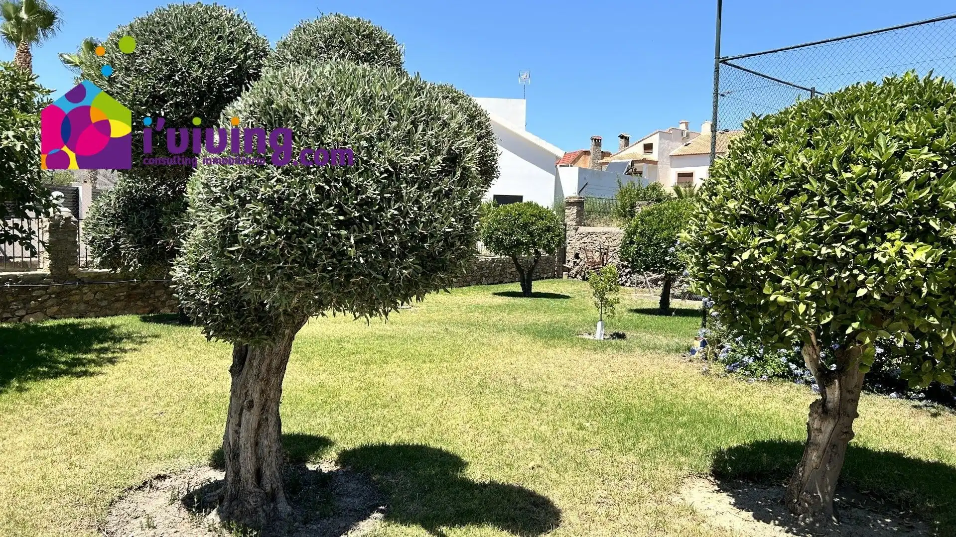 Garden of Houses for rent in Cantoria