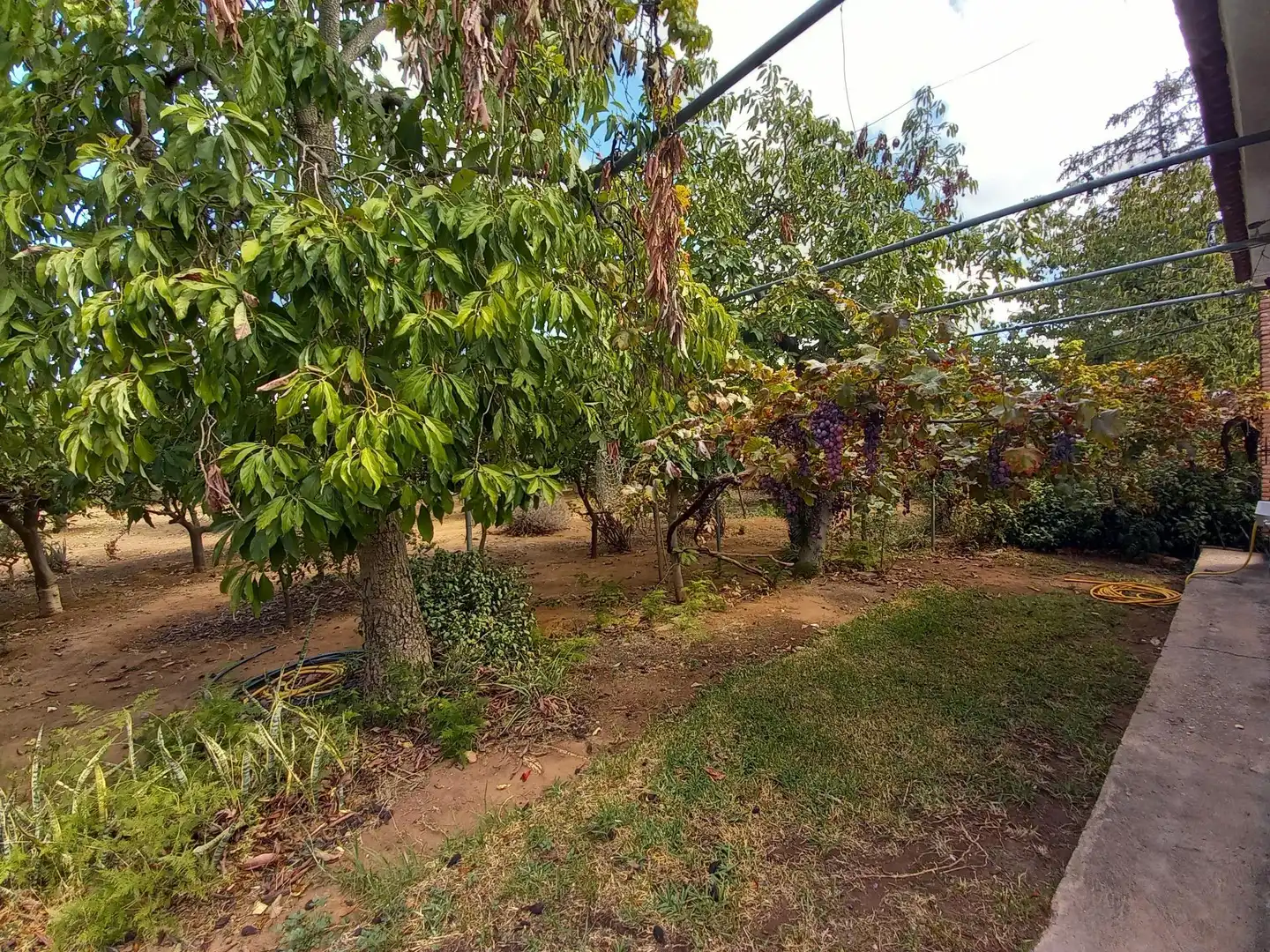 Xalet amb jardí en venda a Pinos de Alhaurín - Periferia, imagen 33