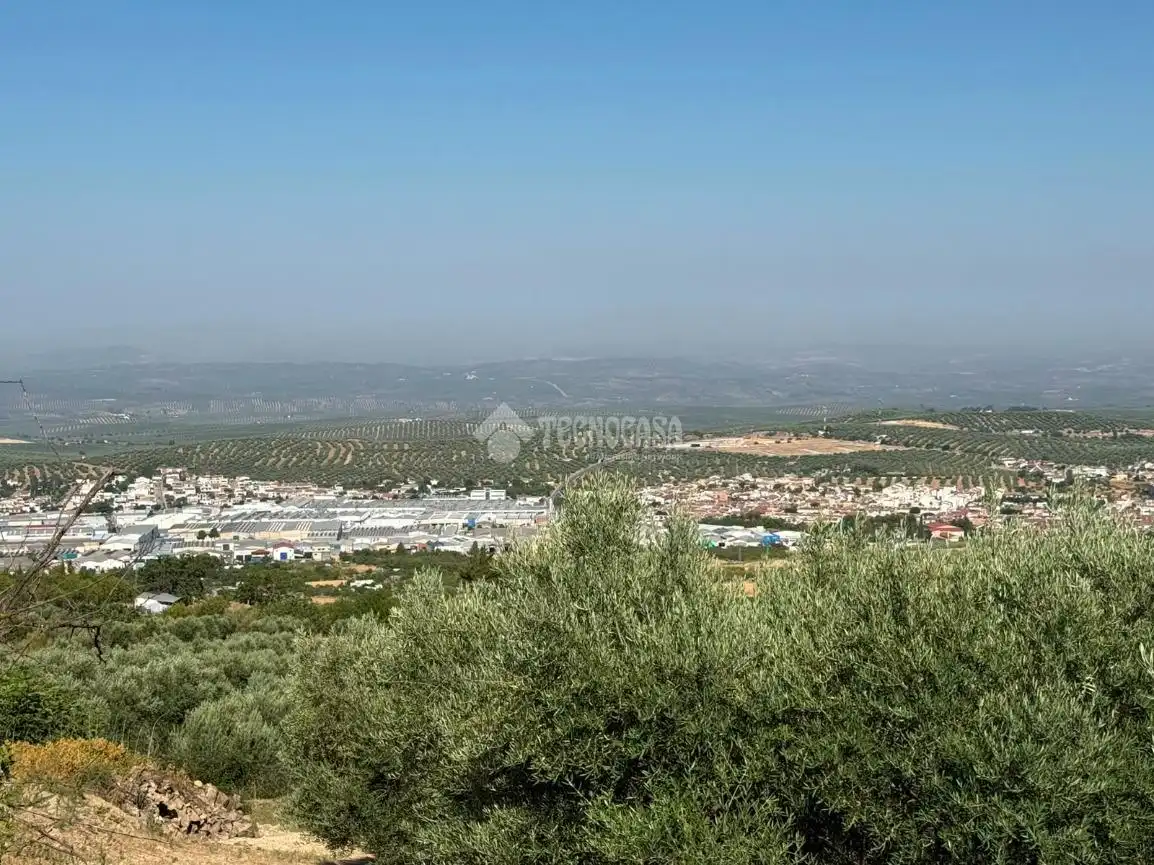 Terreni e lotti in vendita a Martos, imagen 7