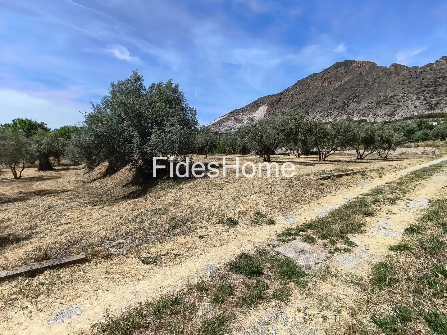 Rural land for sale in XFJ3+526 Nigüelas 0, imagen 14