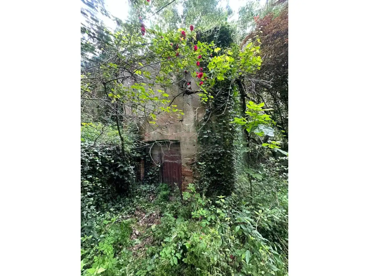 Finca rústica en venta en La Pera