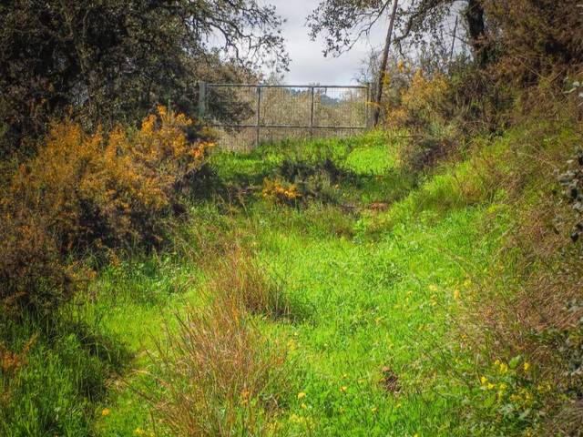 Terreno en Venta en Calle Colon, 3 en Linares de la Sierra