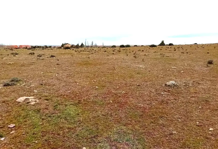 Terreni e lotti in vendita a PALAZUELOS-SAN ILDEFONSO 26, imagen 5